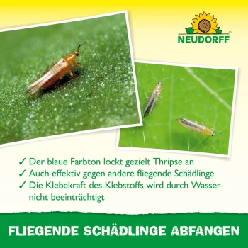 Neudorff Pegatinas azules 8 x 13 cm, 10 uds., contra los trips
