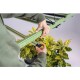 Lámpara LED de cultivo Treegers GL650W de espectro completo