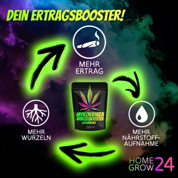 Homegrow24 Gránulos de micorriza 100 g