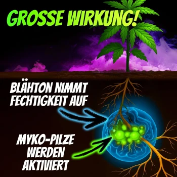 Homegrow24 Gránulos de micorriza 100 g