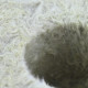 Grodan Cubos de lana de roca, gran agujero, 7,5X7,5X6,5cm 48 pieza