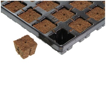 Eazy Plug cubo de enraizamiento 3,6 x 3,6 cm, 77 unid. por bandeja