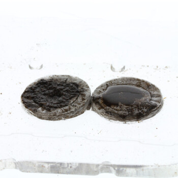 Jiffy macetas de turba 100 uds.