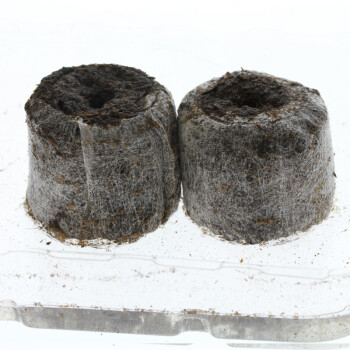 Jiffy macetas de turba 100 uds.