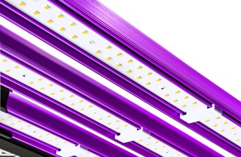 Lumatek Attis LED espectro completo ATS300W PRO